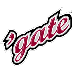 Colgate Raiders Wordmark Logo 2006 - 2020